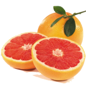 kan portakal